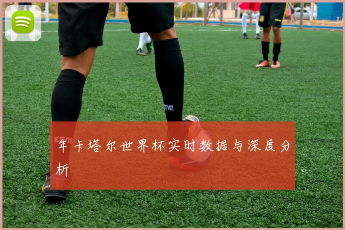 年卡塔尔世界杯实时数据与深度分析