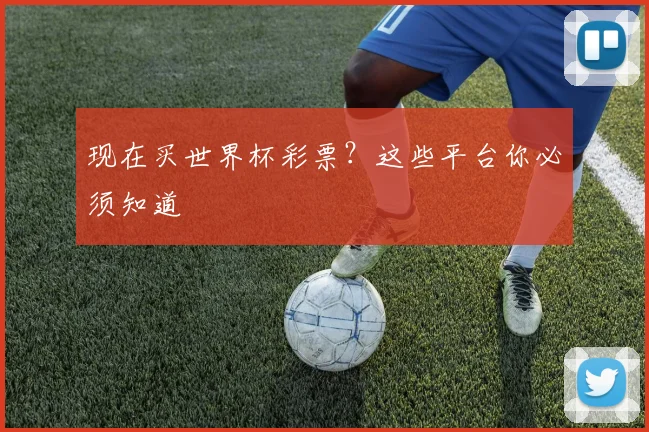 现在买世界杯彩票？这些平台你必须知道