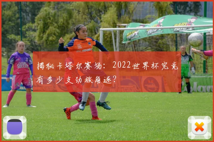 揭秘卡塔尔赛场：2022世界杯究竟有多少支劲旅角逐？