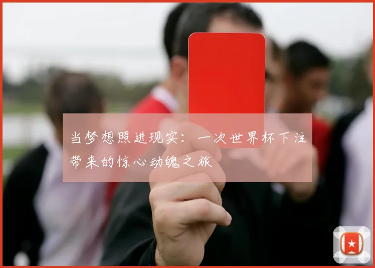当梦想照进现实：一次世界杯下注带来的惊心动魄之旅