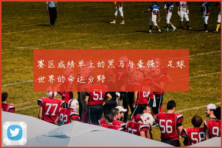 赛区成绩单上的黑马与豪强：足球世界的命运分野