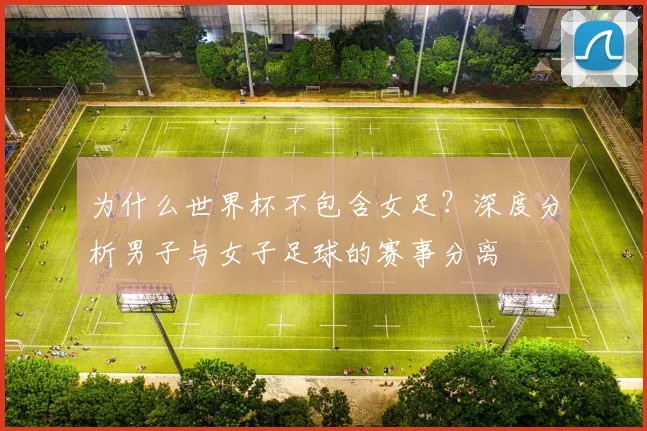 为什么世界杯不包含女足？深度分析男子与女子足球的赛事分离