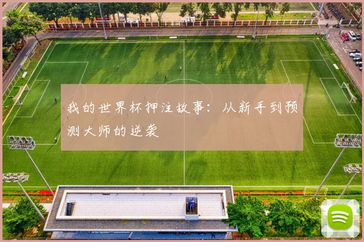 我的世界杯押注故事：从新手到预测大师的逆袭