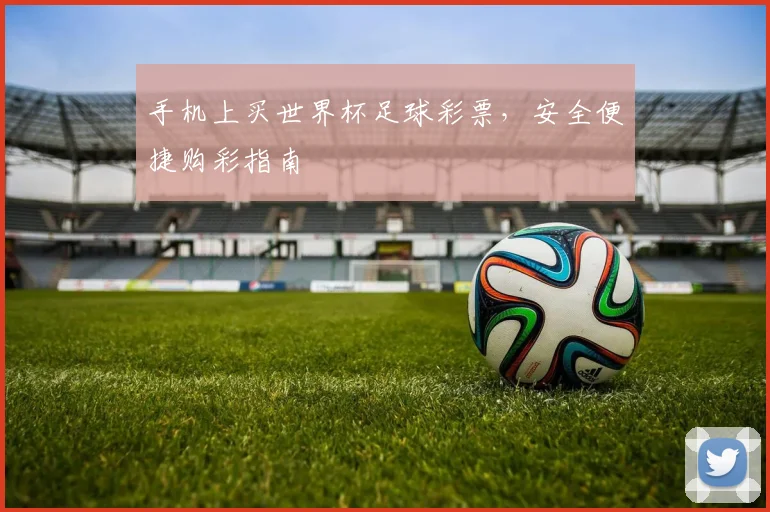 手机上买世界杯足球彩票，安全便捷购彩指南