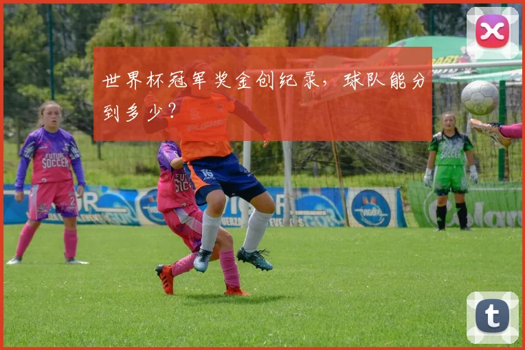 世界杯冠军奖金创纪录，球队能分到多少？