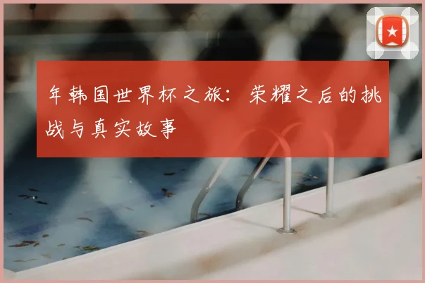 年韩国世界杯之旅：荣耀之后的挑战与真实故事