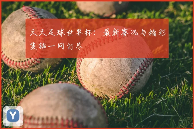 天天足球世界杯：最新赛况与精彩集锦一网打尽