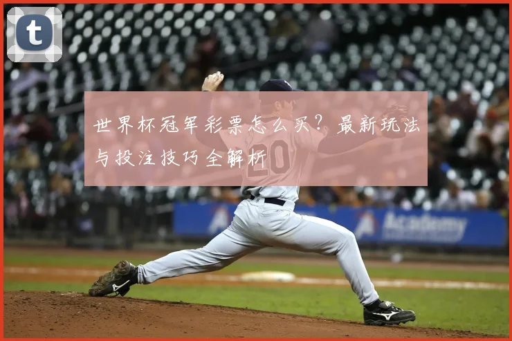 世界杯冠军彩票怎么买？最新玩法与投注技巧全解析