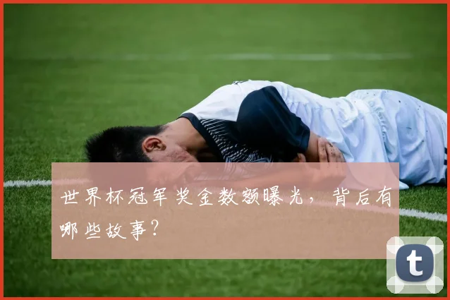 世界杯冠军奖金数额曝光，背后有哪些故事？