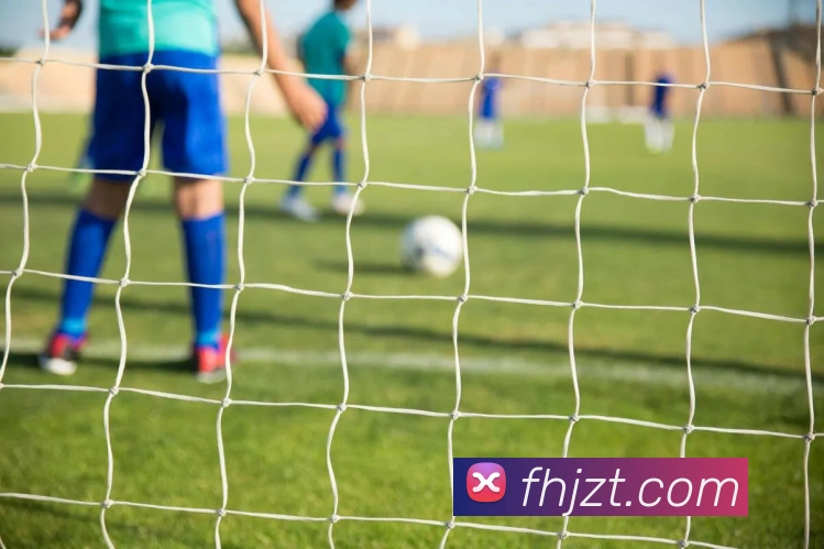 爱游戏ayx网页版登陆品牌故事