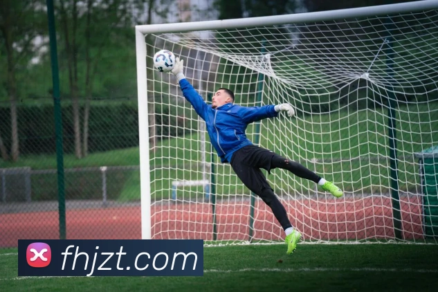 爱游戏ayx网页版登陆服务体系